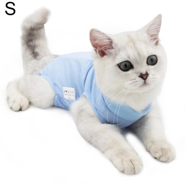 cat costumes cats clothes coat recovery suit for abdominal wounds protector breathable sleeveless shirt kitten clothing indoor
cat costumes cats clothes coat recovery suit for abdominal wounds protector breathable sleeveless shirt kitten clothing indoor