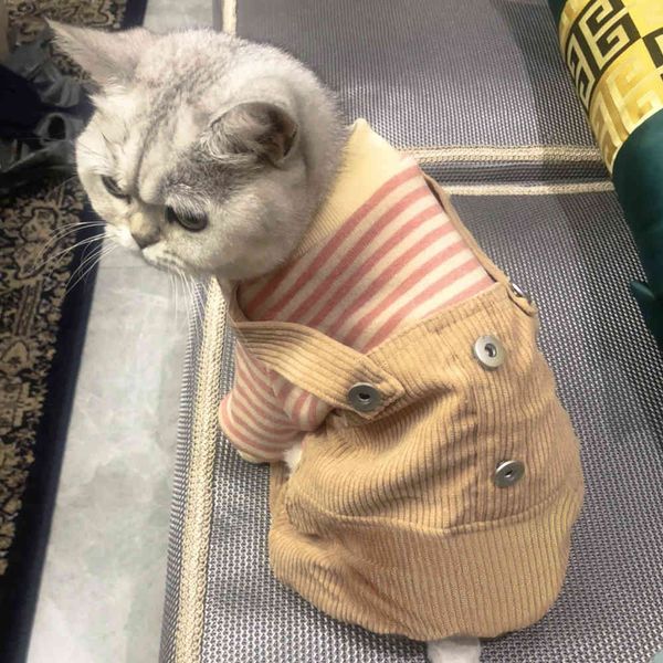 cat orange cat be white english short puppet anti hair falling cute kitten four legged pet warm autumn and winter cloth
cat orange cat be white english short puppet anti hair falling cute kitten four legged pet warm autumn and winter cloth