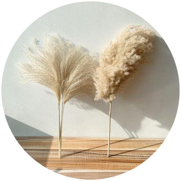 decorative flowers & wreaths 8pcs/10pcs/20 pcs real dried small pampas grass wedding flower bunch natural plants decor home
decorative flowers & wreaths 8pcs/10pcs/20 pcs real dried small pampas grass wedding flower bunch natural plants decor home