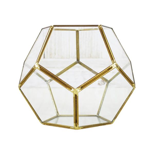 vases black glass pentagon geometric terrarium container window sill decor flower pot balcony planter diy display box
vases black glass pentagon geometric terrarium container window sill decor flower pot balcony planter diy display box