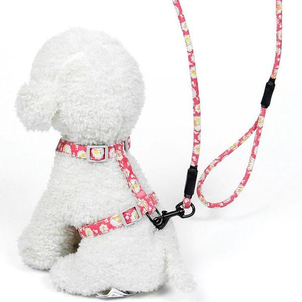 dog collars & leashes 150cm adjustable training lead pet leash rope nylon strap traction harness japanese-style
dog collars & leashes 150cm adjustable training lead pet leash rope nylon strap traction harness japanese-style