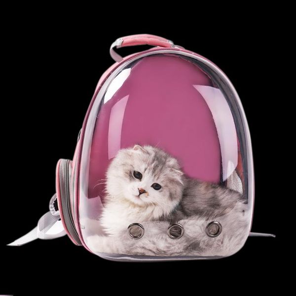 cat carriers,crates & houses window carrier backpack space black transport box travelling bag plastic jaulas para gatos puppy kk60mx
cat carriers,crates & houses window carrier backpack space black transport box travelling bag plastic jaulas para gatos puppy kk60mx