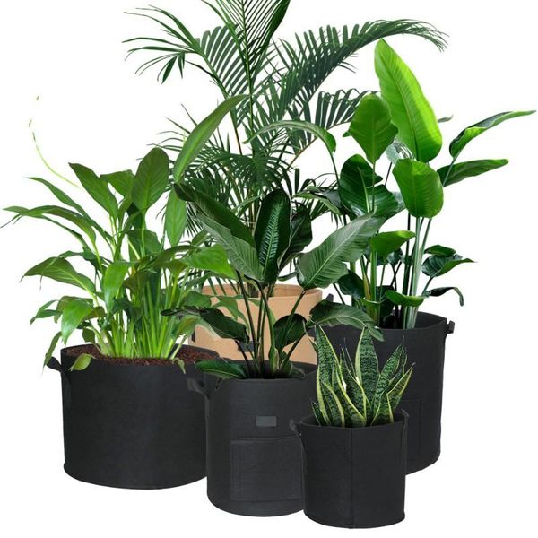 plant grow bags garden seedling vegetable flower pot with handles greenhouse growth bags 8 sizes
plant grow bags garden seedling vegetable flower pot with handles greenhouse growth bags 8 sizes