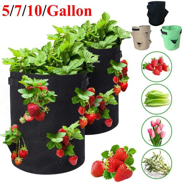 gardening supplies flower pot bag strawberry potato planting bucket gardening non-woven planting bag balcony garden
gardening supplies flower pot bag strawberry potato planting bucket gardening non-woven planting bag balcony garden