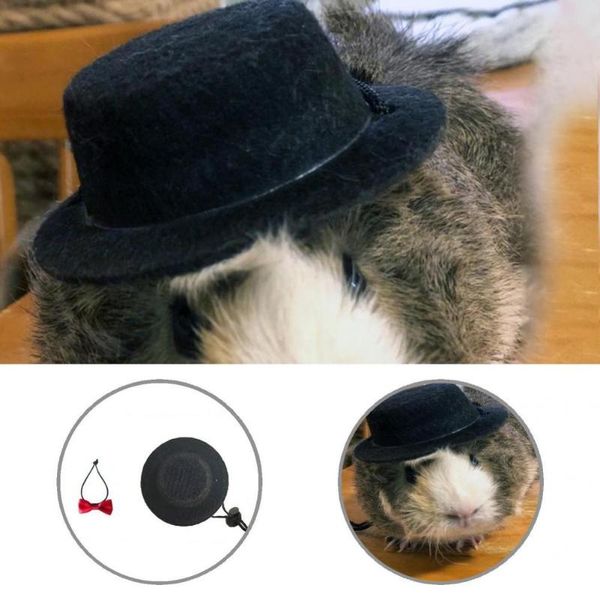 dog car seat covers adorable pretty pet rats bowtie bucket hat lightweight cap strap design for birthday party
dog car seat covers adorable pretty pet rats bowtie bucket hat lightweight cap strap design for birthday party