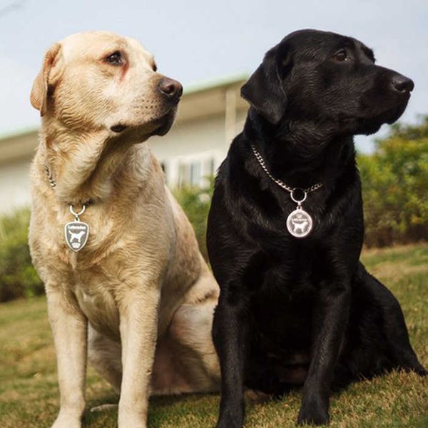 dog laser engraving anti lost brand jinmaodemu large dog titanium steel plate customized pet tag
dog laser engraving anti lost brand jinmaodemu large dog titanium steel plate customized pet tag