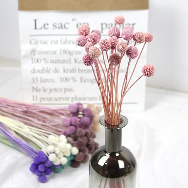 decorative flowers & wreaths 20pcs/lot natural dried flower golden ball orbs bouquet for diy home wedding dining table decoration pography p
decorative flowers & wreaths 20pcs/lot natural dried flower golden ball orbs bouquet for diy home wedding dining table decoration pography p