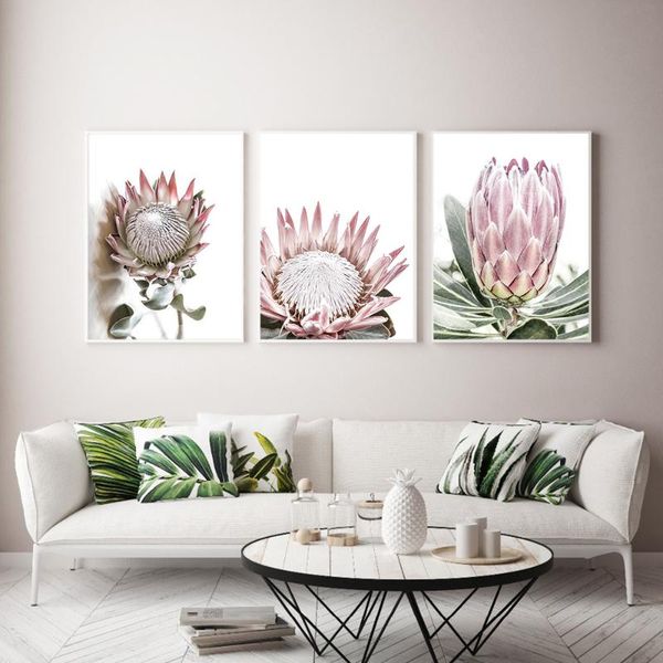 paintings beautiful protea king flowers posters and prints canvas painting wall art gallery pictures for living room bedroom home decor
paintings beautiful protea king flowers posters and prints canvas painting wall art gallery pictures for living room bedroom home decor