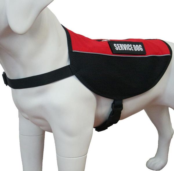 dog collars & leashes pet-k9 pet service vest reflective straps,lightweight cool red mesh harness 2 removable patches, adjustable
dog collars & leashes pet-k9 pet service vest reflective straps,lightweight cool red mesh harness 2 removable patches, adjustable