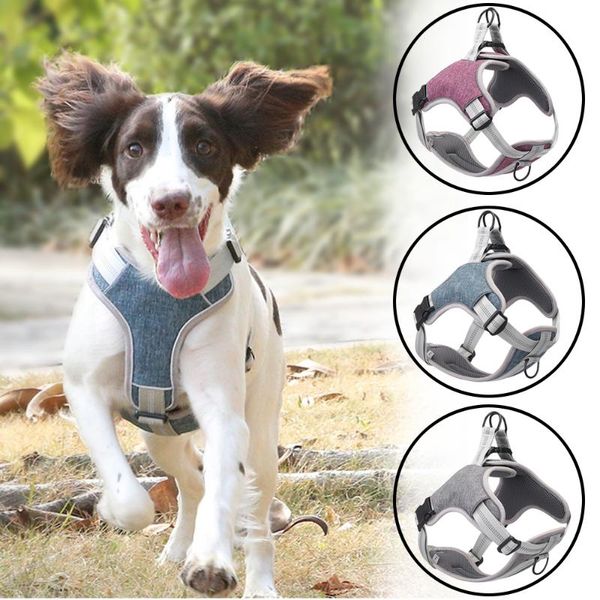 dog collars & leashes pet harness vest adjustable reflective strong soft padded small medium large nylon
dog collars & leashes pet harness vest adjustable reflective strong soft padded small medium large nylon