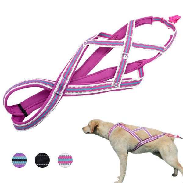 dog weight pulling sledding harness pet mushing x back harness for husky large dogs exercise bikejoring skijoring scootering
dog weight pulling sledding harness pet mushing x back harness for husky large dogs exercise bikejoring skijoring scootering