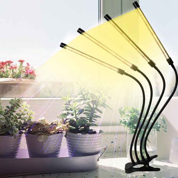 4 heads plant grow light sunlight white 80w 168 leds clip plant lamp with full spectrum 4/8/12h timer & 5 dimmable levels
4 heads plant grow light sunlight white 80w 168 leds clip plant lamp with full spectrum 4/8/12h timer & 5 dimmable levels