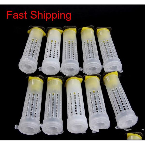 100 set/lot beekeeping rearing cup kit queen bee hair roller cages w/ cell cup holder and cell fixtures bee qylwgp toys2010
100 set/lot beekeeping rearing cup kit queen bee hair roller cages w/ cell cup holder and cell fixtures bee qylwgp toys2010