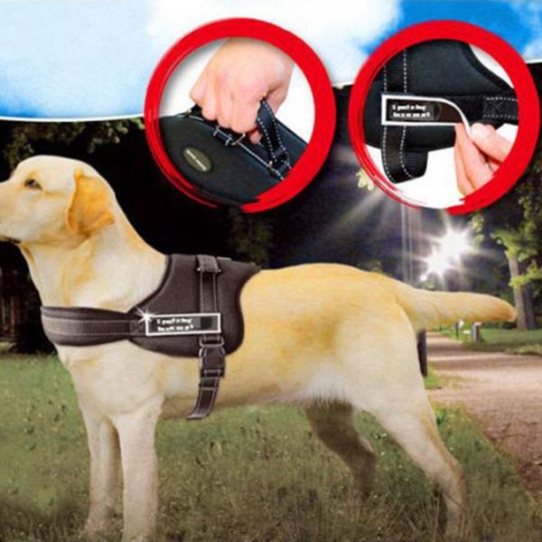 dog collars & leashes sports training harness heavy duty pitbull mastif k9 labrador siberian husky
dog collars & leashes sports training harness heavy duty pitbull mastif k9 labrador siberian husky