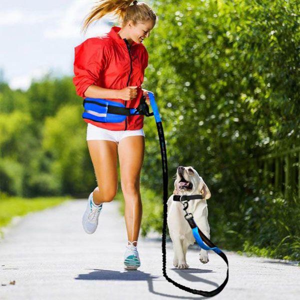 pet dog leash running belt elastic hands y traction rope for dogs reflective adjustable dog leash jogging lead waist rope
pet dog leash running belt elastic hands y traction rope for dogs reflective adjustable dog leash jogging lead waist rope
