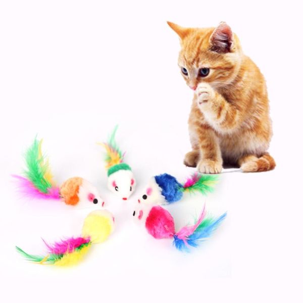cat toys 10pcs false mouse pet mini funny playing for cats with colorful feather plush accessories
cat toys 10pcs false mouse pet mini funny playing for cats with colorful feather plush accessories