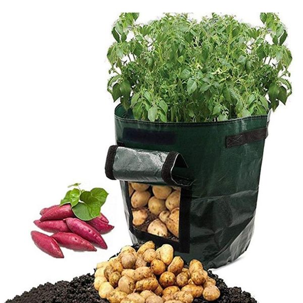 planters & pots pe planting bag outdoor vertical garden potatoes strawberry breathable plant gardening accessory
planters & pots pe planting bag outdoor vertical garden potatoes strawberry breathable plant gardening accessory