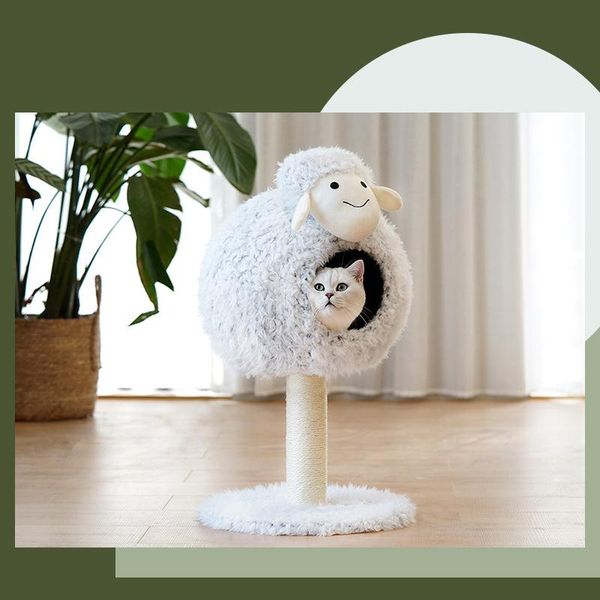 cat beds & furniture litter bed climbing frame tree one-piece toy scratching pole pet supplies
cat beds & furniture litter bed climbing frame tree one-piece toy scratching pole pet supplies