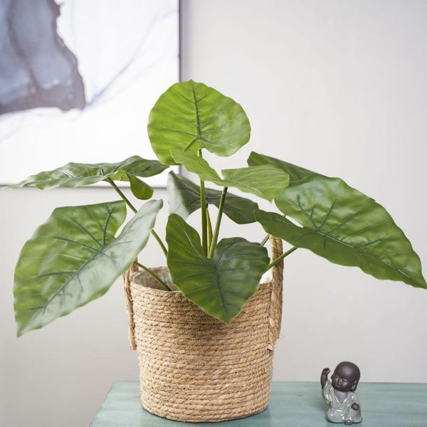 model monstera green decoration dripping guanyin simulated plants soft loading fake tree landscaping material
model monstera green decoration dripping guanyin simulated plants soft loading fake tree landscaping material