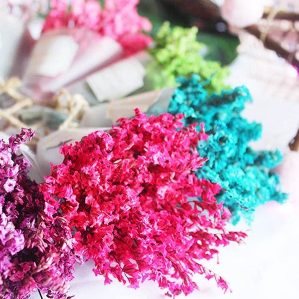 1pcs/lot natural dried flowers mini crystal grass for wedding home decoration diy craft gifts packing dried flowers pho jllpuf
1pcs/lot natural dried flowers mini crystal grass for wedding home decoration diy craft gifts packing dried flowers pho jllpuf