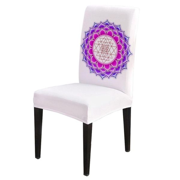 chair covers colorful lotus flower spandex elastic dining slipcover removable kitchen seat case stretch cover for banquet
chair covers colorful lotus flower spandex elastic dining slipcover removable kitchen seat case stretch cover for banquet