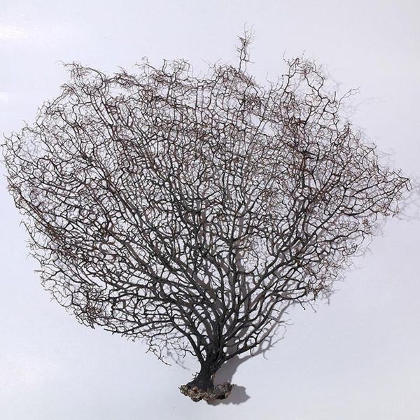 decorative flowers & wreaths 2021 natural sea iron tree coral branch willow decor home tank fishing landscaping plants deskornaments fis
decorative flowers & wreaths 2021 natural sea iron tree coral branch willow decor home tank fishing landscaping plants deskornaments fis