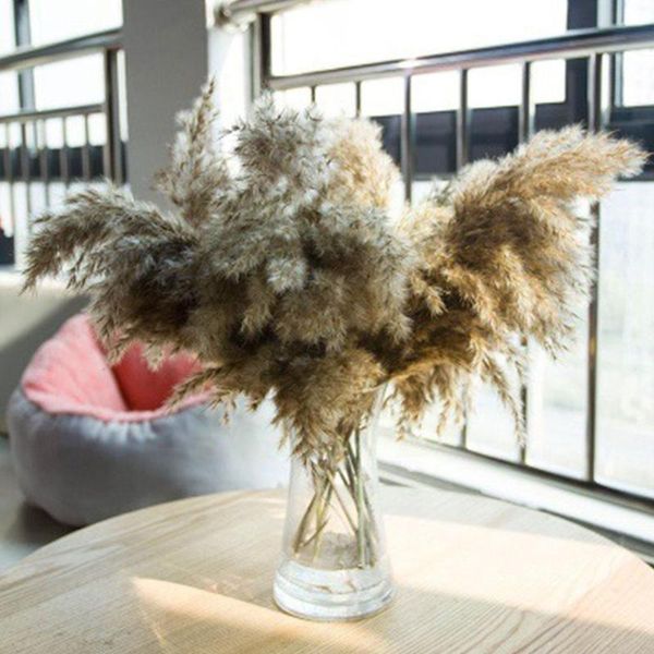 decorative flowers & wreaths 10pcs/bunch natural dried reeds bunch small dog's tail pography home bouquet grass decoration diy craft pr
decorative flowers & wreaths 10pcs/bunch natural dried reeds bunch small dog's tail pography home bouquet grass decoration diy craft pr