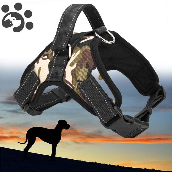 dog collars & leashes pet harness collar adjustable reflective harnesses vest walking lead leash for puppy oxford large small dogs
dog collars & leashes pet harness collar adjustable reflective harnesses vest walking lead leash for puppy oxford large small dogs