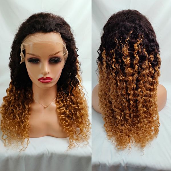 full frontal human hair wig 1b/27# colored pre plucked remy brazilian jerry curly lace wigs, Black
full frontal human hair wig 1b/27# colored pre plucked remy brazilian jerry curly lace wigs, Black