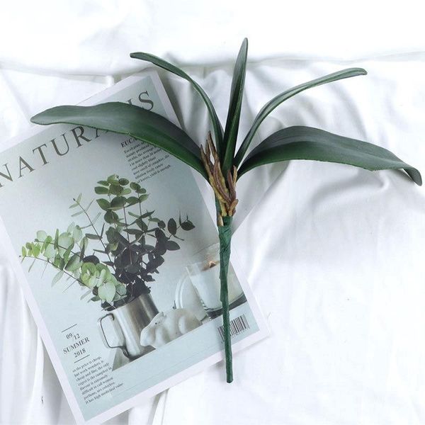 real touch green plant fake leaf of butterfly orchid flowers 1 bouquet artificial plastic leaves for home decoration tm437
real touch green plant fake leaf of butterfly orchid flowers 1 bouquet artificial plastic leaves for home decoration tm437