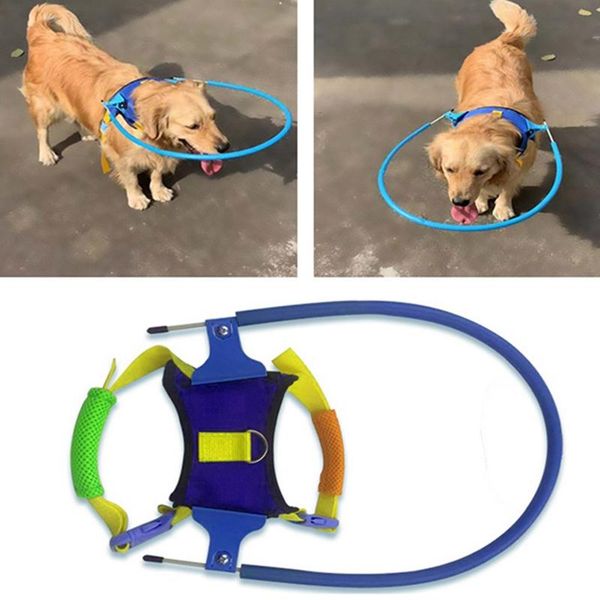 dog apparel steps blind pet anti-collision ring scorpion cataract animal protection circle guide harness for small puppy dogs xxs
dog apparel steps blind pet anti-collision ring scorpion cataract animal protection circle guide harness for small puppy dogs xxs