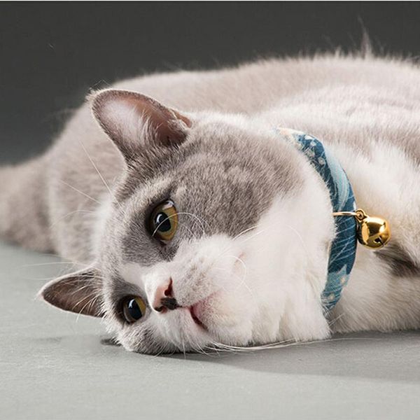 2021 handmade adjustable dog cat collar printed necktie necklace with bell for cats puppy kitten pet cat accessories
2021 handmade adjustable dog cat collar printed necktie necklace with bell for cats puppy kitten pet cat accessories
