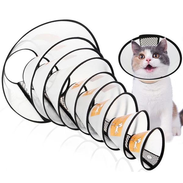 cat collars & leads recovery collar pet protective elizabethan wound healing protection cone grooming anti-bite cute
cat collars & leads recovery collar pet protective elizabethan wound healing protection cone grooming anti-bite cute