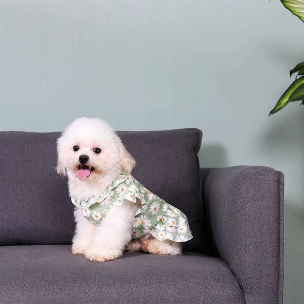 dog apparel dog skirt little daisy net red the same spring and summer cat bomei puppy bear pet dress
dog apparel dog skirt little daisy net red the same spring and summer cat bomei puppy bear pet dress