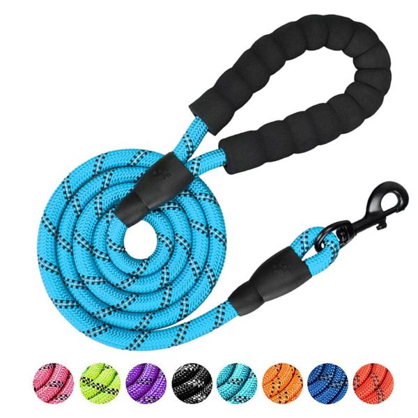 dog collars & leashes small and medium-sized leash outdoor walking anti-stretching chain nylon toughness anti-biting hand rope petsupplies
dog collars & leashes small and medium-sized leash outdoor walking anti-stretching chain nylon toughness anti-biting hand rope petsupplies