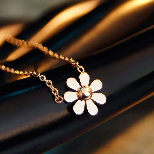 pendant necklaces classic stainless steel necklace for women designer jewelry flower 2021 statement kn012, Silver
pendant necklaces classic stainless steel necklace for women designer jewelry flower 2021 statement kn012, Silver