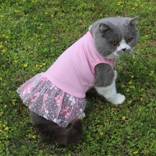 cat costumes 2021 summer pet skirt dog net yarn puppy t-shirt and clothes comfortable breathable
cat costumes 2021 summer pet skirt dog net yarn puppy t-shirt and clothes comfortable breathable
