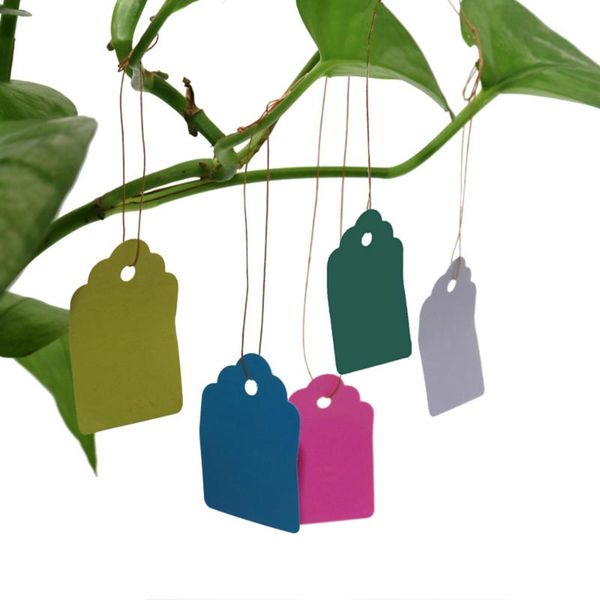garden decorations 100pcs plants hang tag labels and brands seedling flower pot plastic number plate hanging reusable pvc tools
garden decorations 100pcs plants hang tag labels and brands seedling flower pot plastic number plate hanging reusable pvc tools