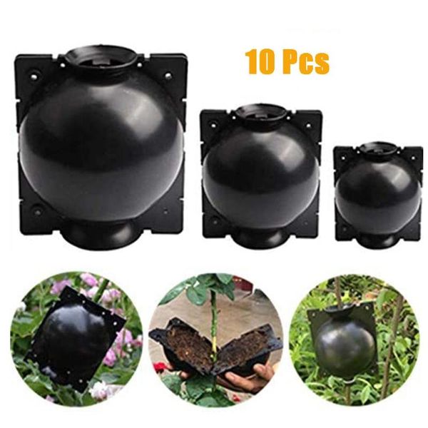 10pcs plant rooting grow box reusable plant rooter pot garden flower fertilizers box grafting botany root controller ball
10pcs plant rooting grow box reusable plant rooter pot garden flower fertilizers box grafting botany root controller ball