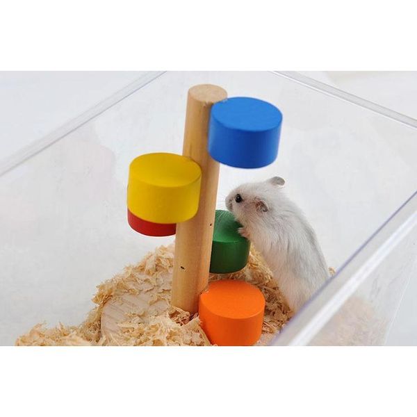 natural wooden colorful scaling ladder fun play pet toys rat hamsters toy wooden hamster funny exercise lookout jllbdk xmhyard
natural wooden colorful scaling ladder fun play pet toys rat hamsters toy wooden hamster funny exercise lookout jllbdk xmhyard