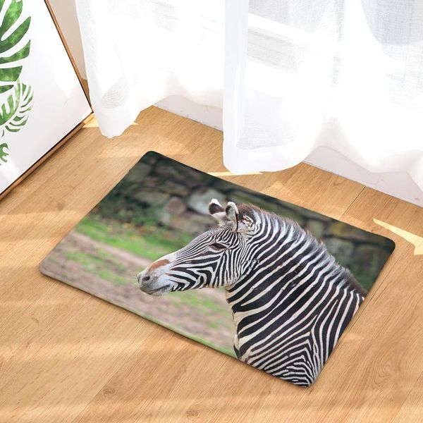 cushion/decorative pillow tropical animal decorative flannel living room entrance doormat zebra print kitchen carpet home decor bathroom ant
cushion/decorative pillow tropical animal decorative flannel living room entrance doormat zebra print kitchen carpet home decor bathroom ant