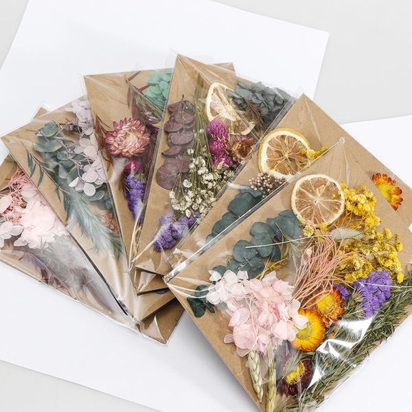 real dried flower dry plants for wedding party home decorations diy craft aromatherapy candle living room acc jllxim
real dried flower dry plants for wedding party home decorations diy craft aromatherapy candle living room acc jllxim