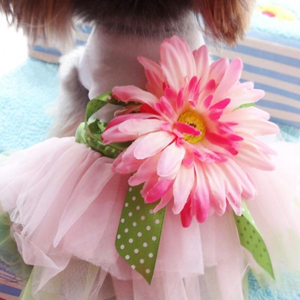 summer dog clothes for dog dress tutu pet puppy clothes cat skirt wedding dresses pet apparel ropa de cachorro
summer dog clothes for dog dress tutu pet puppy clothes cat skirt wedding dresses pet apparel ropa de cachorro