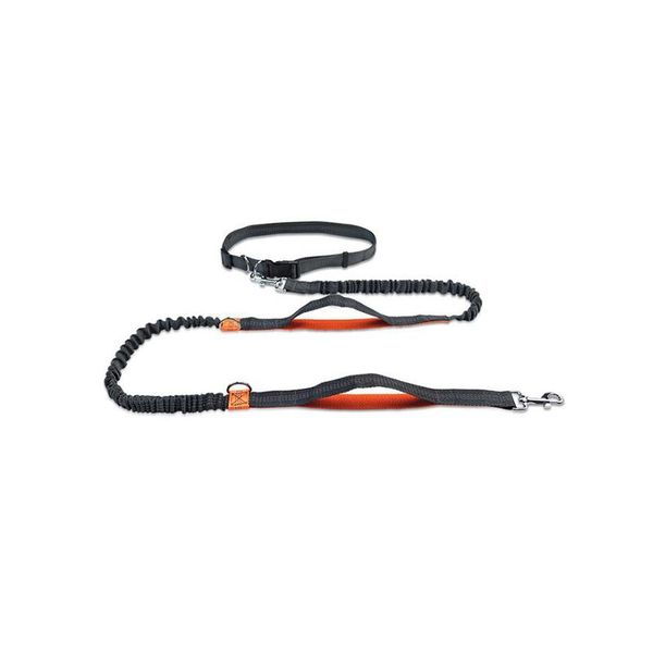 pet products dogs leash running elasticity hand y pet products dogs harness collar jogging lead adjustable waist belt rope
pet products dogs leash running elasticity hand y pet products dogs harness collar jogging lead adjustable waist belt rope