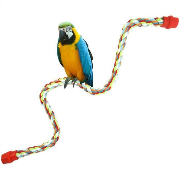 other bird supplies (15pcs/lot)wholesale pet parrot toy rope conure cage standing perch chew peck for hamster/totoro/squirrel animals(s/m/l)
other bird supplies (15pcs/lot)wholesale pet parrot toy rope conure cage standing perch chew peck for hamster/totoro/squirrel animals(s/m/l)