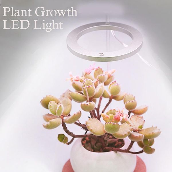 plant fill light full-spectrum sun-like household flower light growth lamp coloring plant vegetation for indoor
plant fill light full-spectrum sun-like household flower light growth lamp coloring plant vegetation for indoor