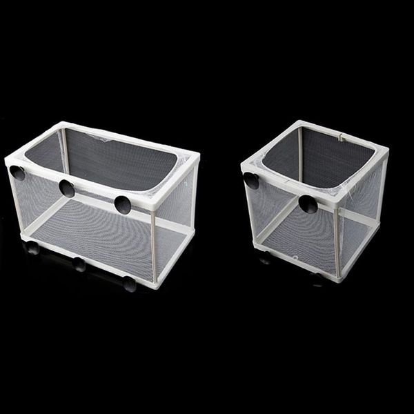 aquariums fish tank aquarium guppy breeding breeder baby gauze trap box isolator s/l
aquariums fish tank aquarium guppy breeding breeder baby gauze trap box isolator s/l