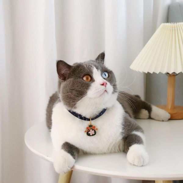 cat collars & leads strong lovely breakaway pet cats dogs with bell skin friendly collar bright color for taking po
cat collars & leads strong lovely breakaway pet cats dogs with bell skin friendly collar bright color for taking po
