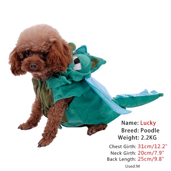 2021 new pirate style the dog from animated cartoons performance clothes fun fancy trajes for pet cat supplies k76l
2021 new pirate style the dog from animated cartoons performance clothes fun fancy trajes for pet cat supplies k76l