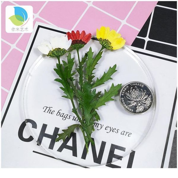 realy dried flowers crystal chrysanthemum hand-made diy candle plane pressing true flower plant specimens rea jllycf
realy dried flowers crystal chrysanthemum hand-made diy candle plane pressing true flower plant specimens rea jllycf